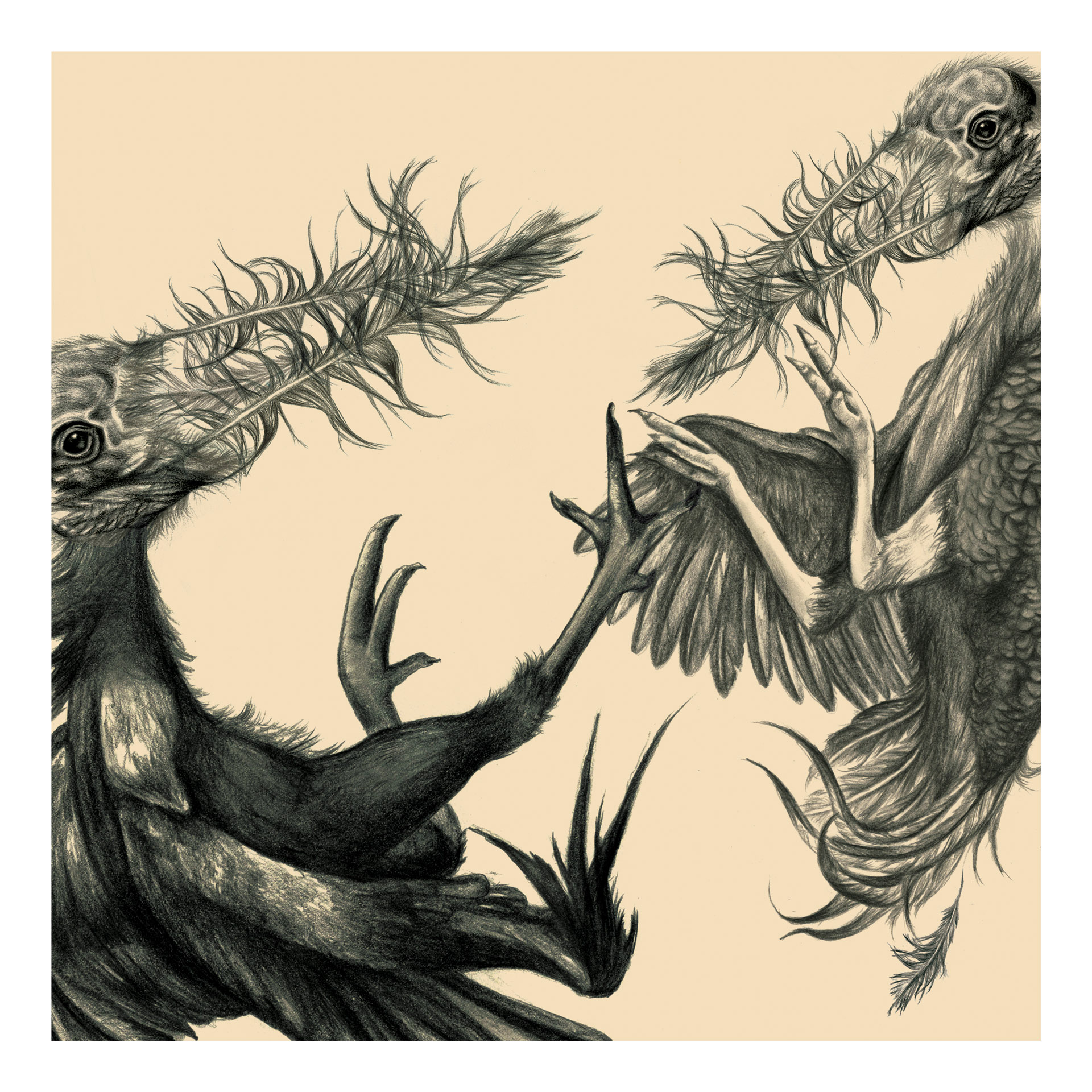 Julia Szulc Illustration. Illustration for Feathered Arms album cover. #birds #albumcover Julia Szulc Illustration. Illustration Nibble&nosh restaurang.Julia Szulc Illustration. Illustration Nibble&nosh restaurang.Julia Szulc illustration. #featheredarms #JuliaSzulc#Juliaszulcillustration