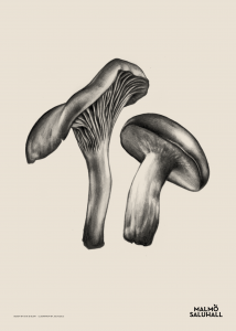 Julia Szulc illustration for Malmö Saluhall.#JuliaSzulc#Juliaszulcillustration