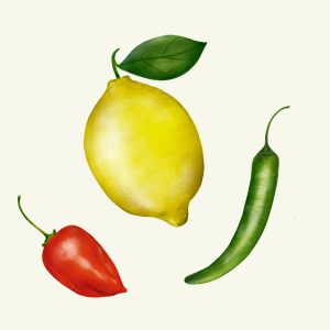 #juliaszulc#juliaszulcillustration#kiviksmusteri#lemon#chili#foodillustration#fruitillustration